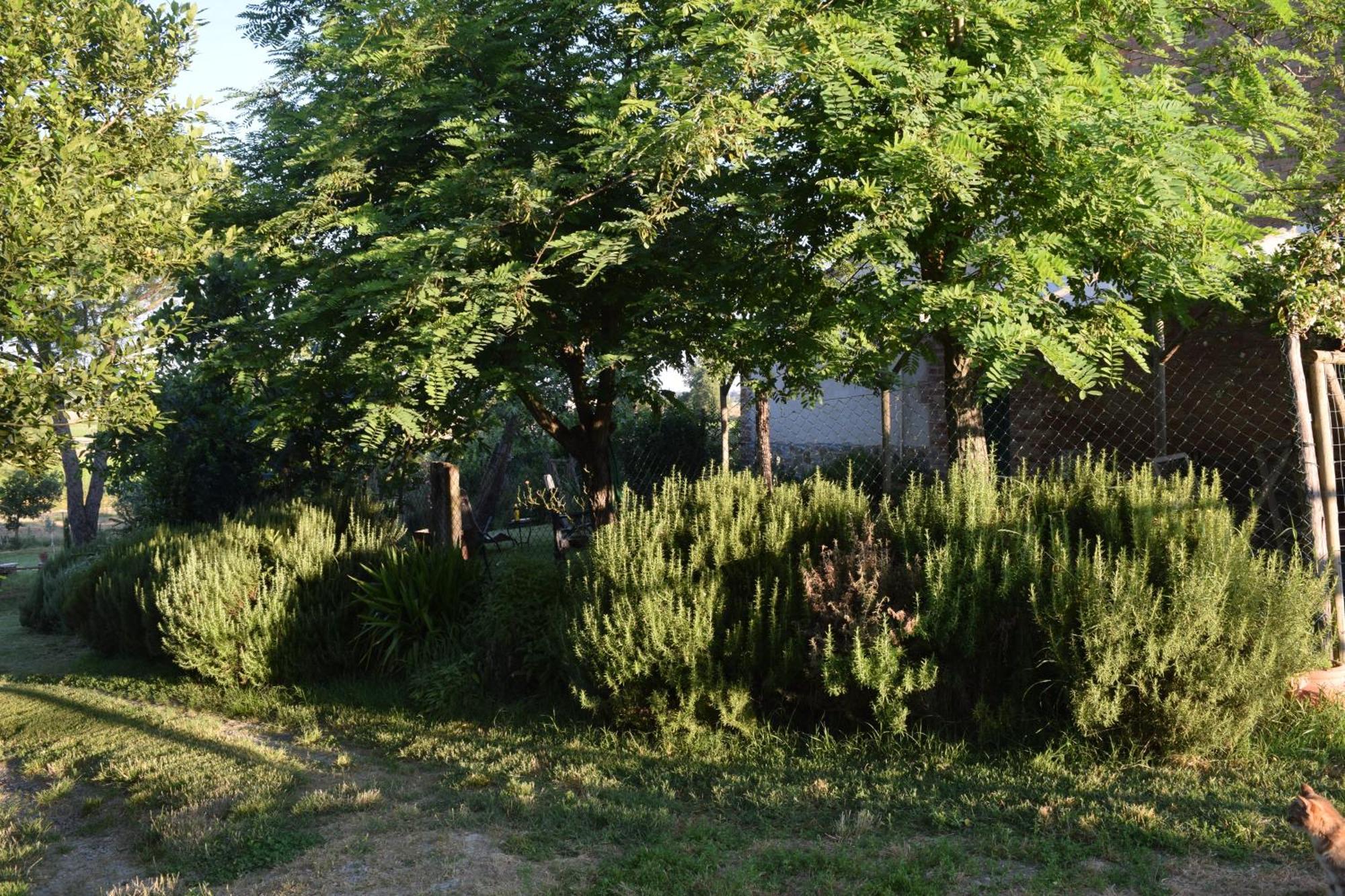 Il Saragio Villa Abbadia di Montepulciano Exteriör bild