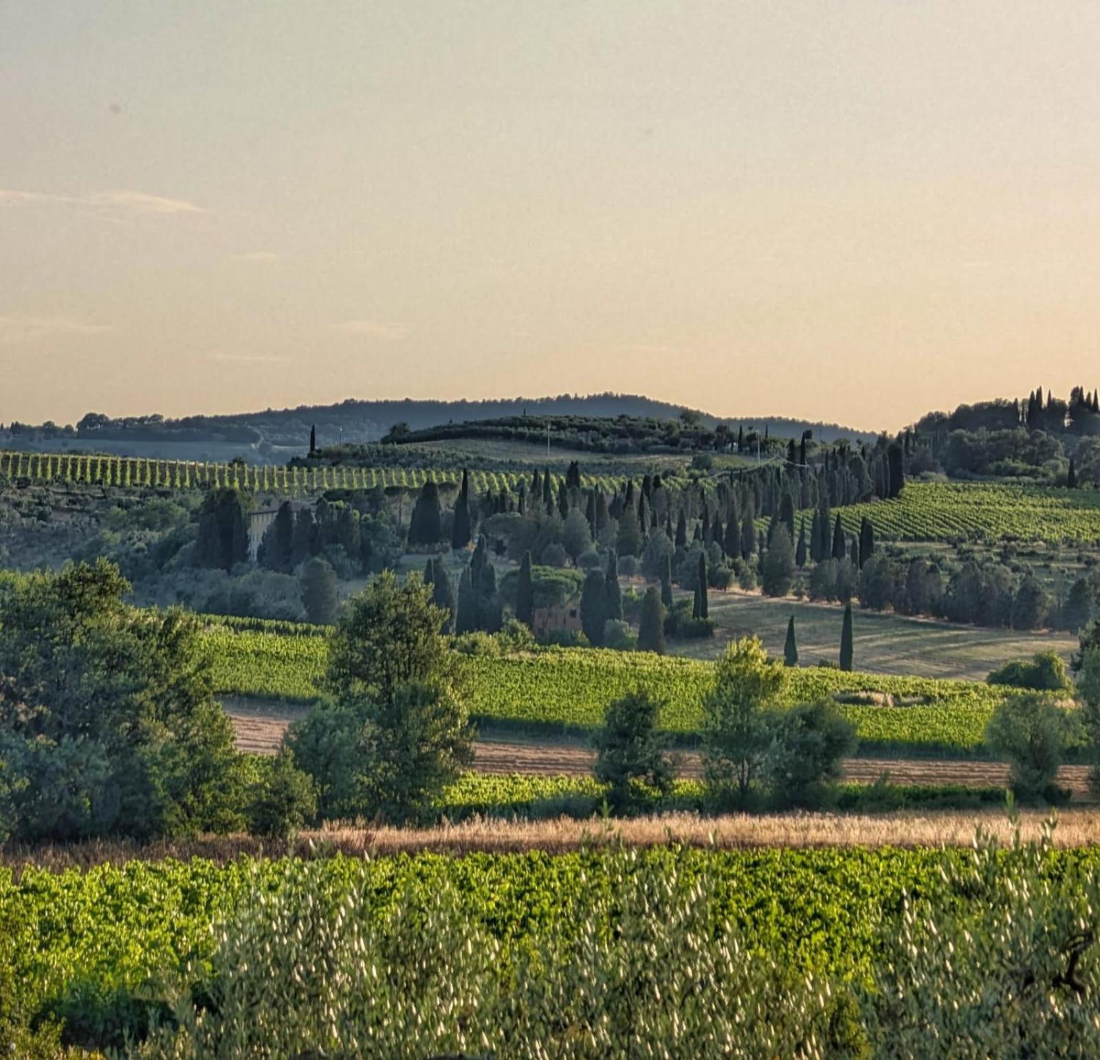Il Saragio Villa Abbadia di Montepulciano Exteriör bild