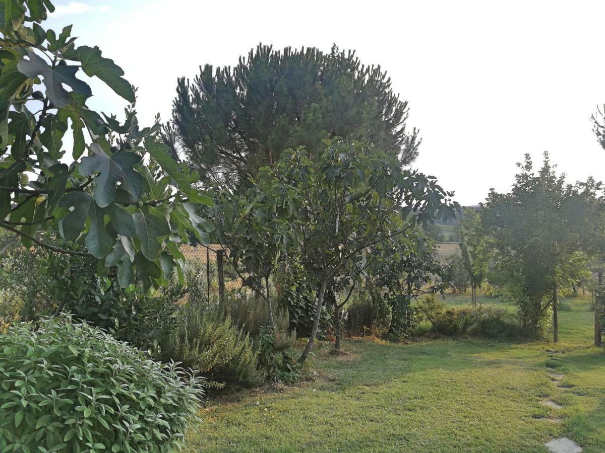 Il Saragio Villa Abbadia di Montepulciano Exteriör bild